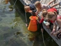 Fotoet: Øresundsakvariets vandlaboratorium på Helsingør Nordhavn er bemandet alle dage i skolernes sommerferie mellem kl. 10-16 - takket være de ekstra penge fra regeringen. Foto: Thinkalike