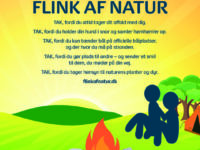 Flink af natur, plakat: Friluftsrådet