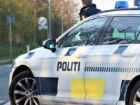 Politirapporten for Helsingør Kommune i tidsrummet 2021-11-10 til 2021-11-23