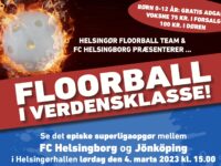 Pressefoto Helsingør Floorball Team
