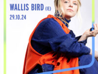 Pressefoto Wallis Bird