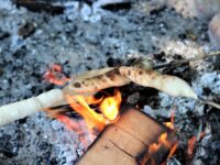 Søg tilskud til at afholde dit Nat i Naturen-arrangement næste år